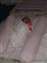 DSCF3397.JPG
