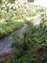 tamilnadu11 (16) (Small).JPG