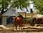 tamilnadu11 (41) (Small).JPG